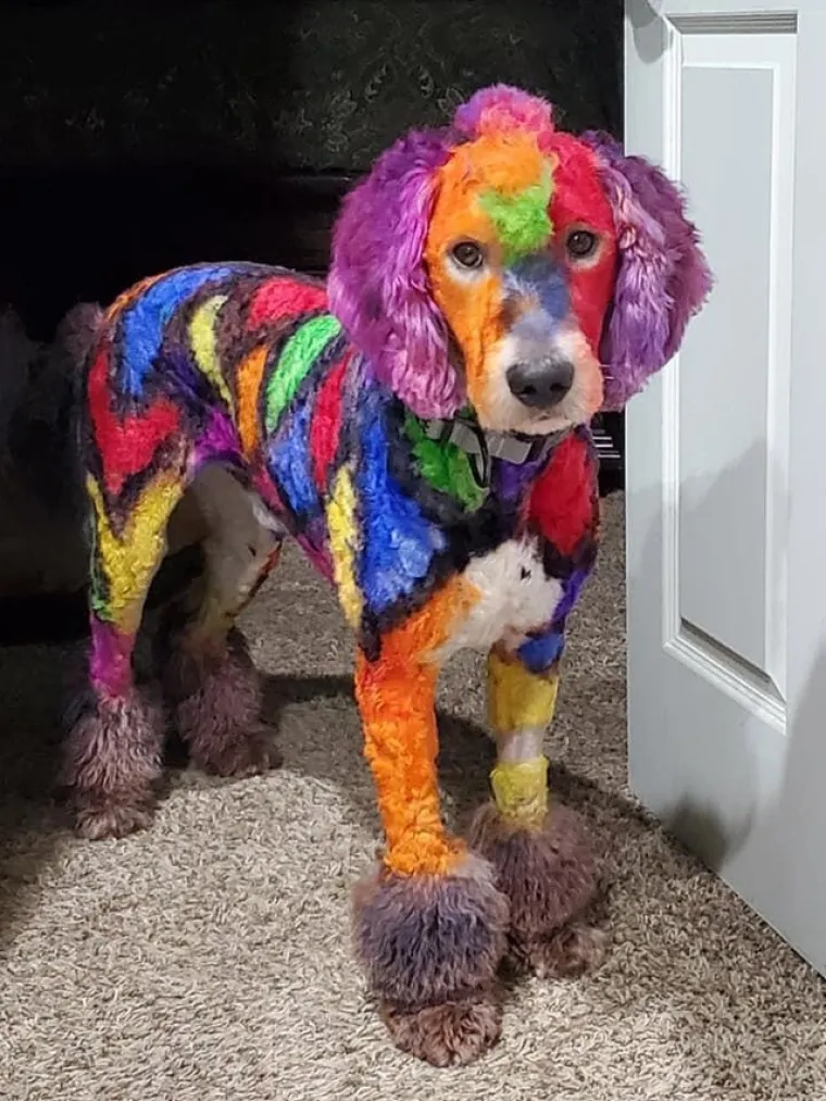 Lo&scaron; Uku$ Klan: Najgore od najgorih dizajnerskih, arhitektonskih i modnih odluka