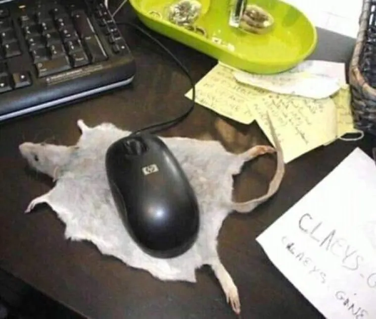 Lo&scaron; Uku$ Klan: Najgore od najgorih dizajnerskih, arhitektonskih i modnih odluka