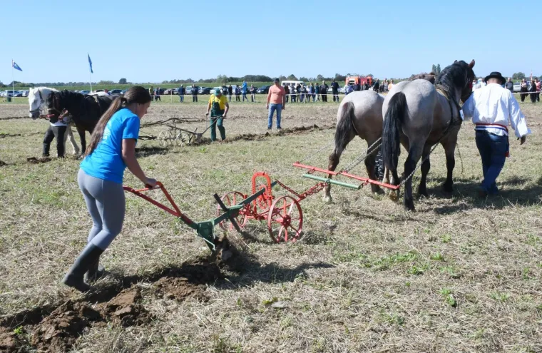 Tko će Hrvatsku predstavljati u Rusiji?  U Sunji iskusne ekipe odmjerile snage u oranju