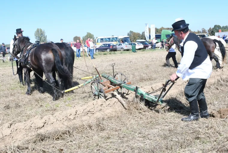 Tko će Hrvatsku predstavljati u Rusiji?  U Sunji iskusne ekipe odmjerile snage u oranju