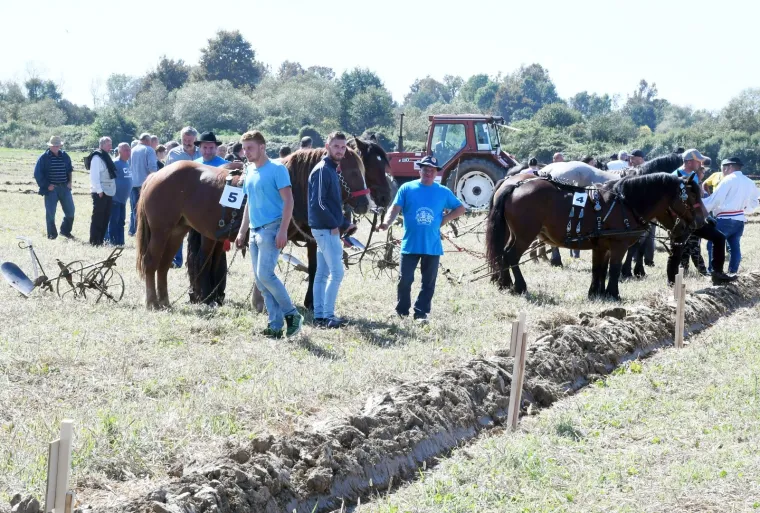 Tko će Hrvatsku predstavljati u Rusiji?  U Sunji iskusne ekipe odmjerile snage u oranju