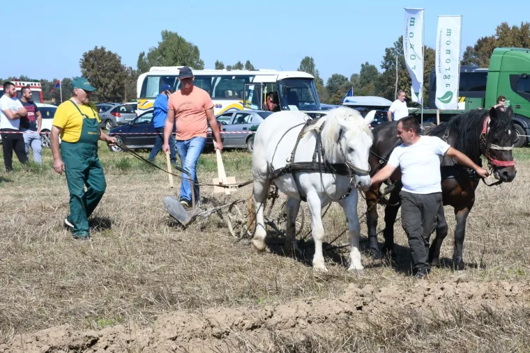 Tko će Hrvatsku predstavljati u Rusiji?  U Sunji iskusne ekipe odmjerile snage u oranju