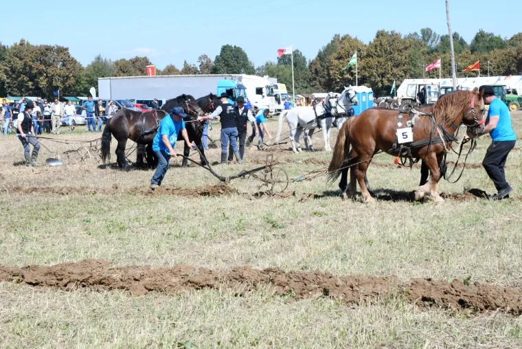 Tko će Hrvatsku predstavljati u Rusiji?  U Sunji iskusne ekipe odmjerile snage u oranju