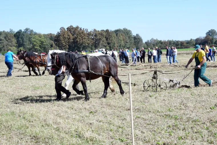 Tko će Hrvatsku predstavljati u Rusiji?  U Sunji iskusne ekipe odmjerile snage u oranju