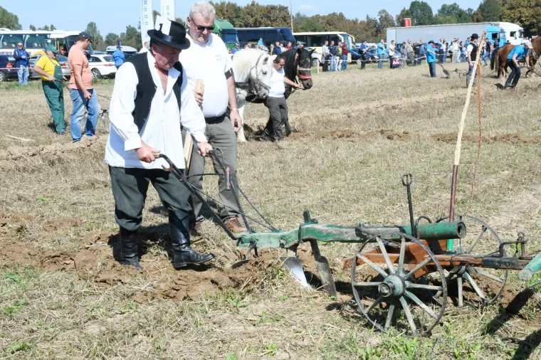 Tko će Hrvatsku predstavljati u Rusiji?  U Sunji iskusne ekipe odmjerile snage u oranju