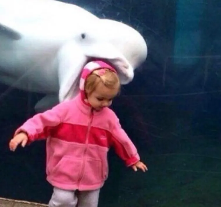 Savr&scaron;eno spontane: 20 fotografija koje i da su htjele, nisu mogle imati bolji tajming