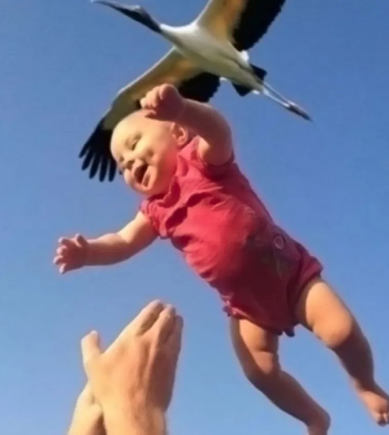 Savr&scaron;eno spontane: 20 fotografija koje i da su htjele, nisu mogle imati bolji tajming