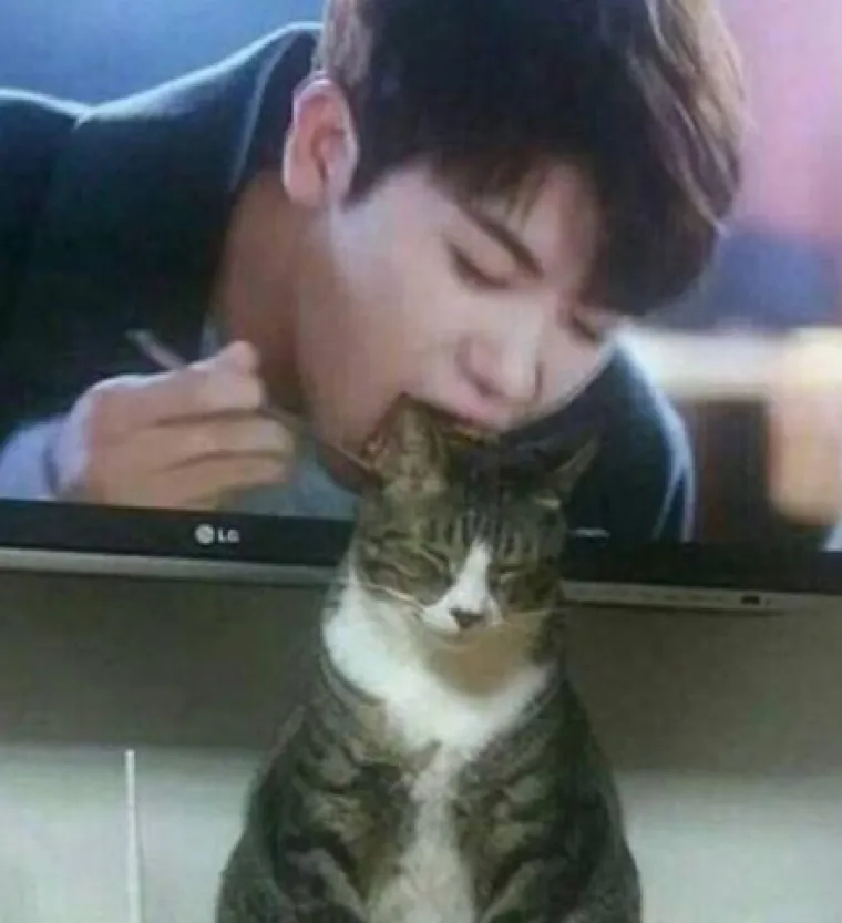 Savr&scaron;eno spontane: 20 fotografija koje i da su htjele, nisu mogle imati bolji tajming