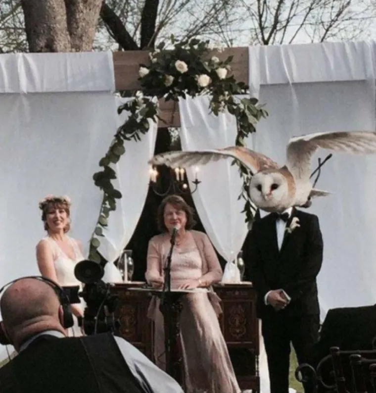 Savr&scaron;eno spontane: 20 fotografija koje i da su htjele, nisu mogle imati bolji tajming