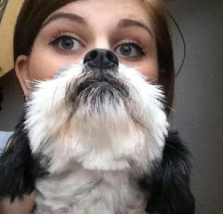 Savr&scaron;eno spontane: 20 fotografija koje i da su htjele, nisu mogle imati bolji tajming