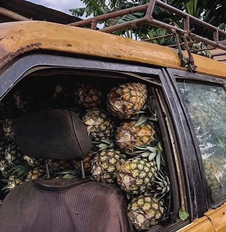 'Ivan je imao 132 banane': Matematički zadatak kod ovih ljudi postao je stvarnost