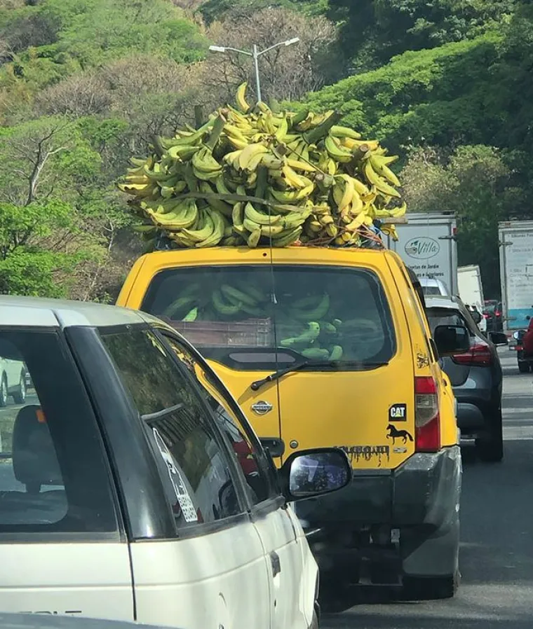 'Ivan je imao 132 banane': Matematički zadatak kod ovih ljudi postao je stvarnost