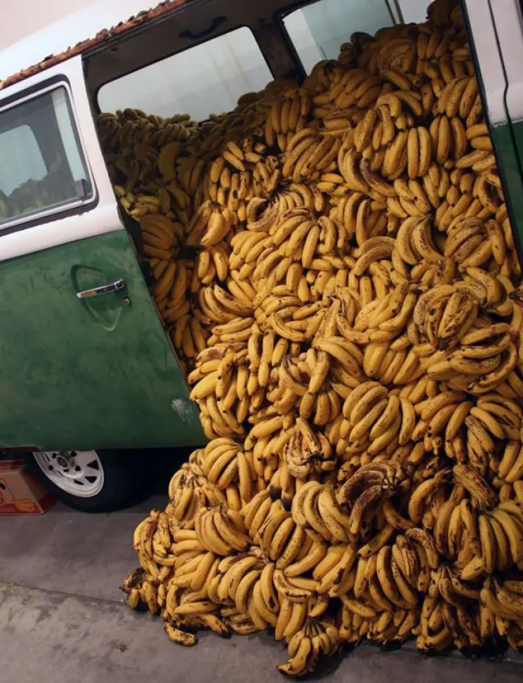 'Ivan je imao 132 banane': Matematički zadatak kod ovih ljudi postao je stvarnost