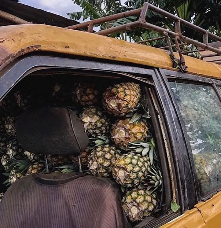 KONAČNO SMO PRONA&Scaron;LI ONE LIKOVE IZ MATEMATIČKOG UDŽBENIKA: Ako Marko ima 965 banana...