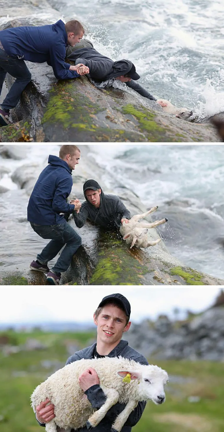 Predivne fotografije brižnih ljudi koje će vam vratiti vjeru u ljudski rod