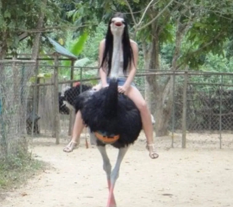 'Nikom nije jasno': U ove fotografije ćete se morati dobro zagledati da biste shvatili &scaron;to se događa