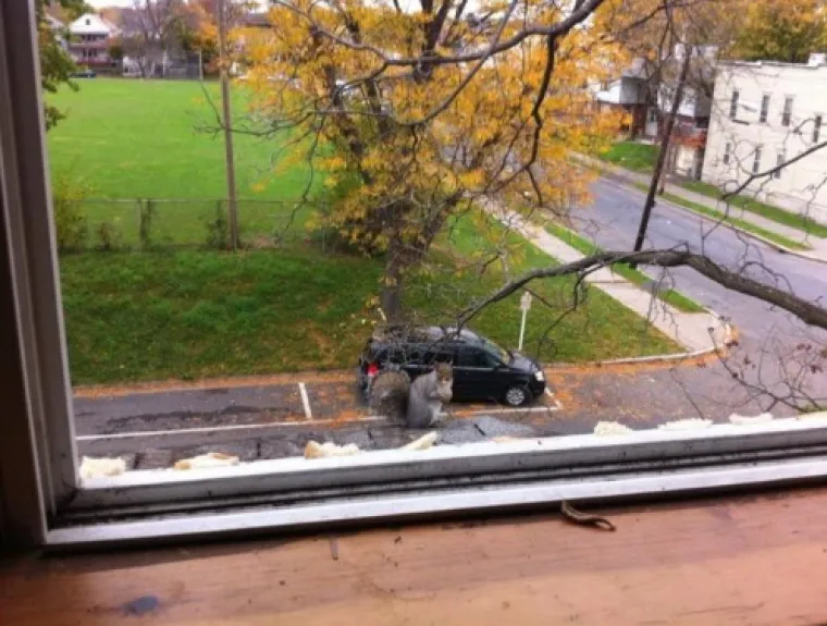 'Nikom nije jasno': U ove fotografije ćete se morati dobro zagledati da biste shvatili &scaron;to se događa