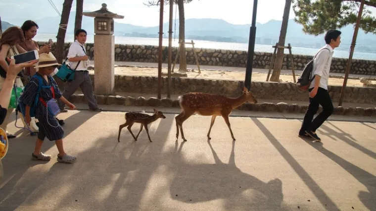 A MISLILI STE DA VI SREĆETE ČUDAKE: Da, ovi su ljudi takvi iza&scaron;li iz kuće i naravno da ih je netko slikao