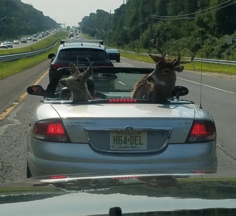 A MISLILI STE DA VI SREĆETE ČUDAKE: Da, ovi su ljudi takvi iza&scaron;li iz kuće i naravno da ih je netko slikao