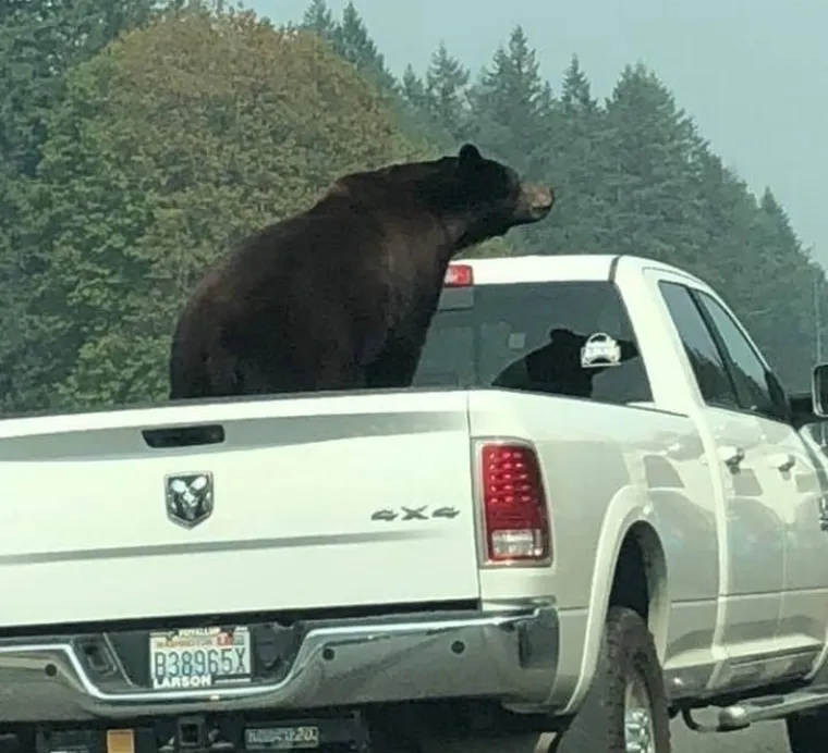 A MISLILI STE DA VI SREĆETE ČUDAKE: Da, ovi su ljudi takvi iza&scaron;li iz kuće i naravno da ih je netko slikao