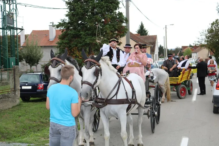 Vjenčanje u Požegi kao da je pro&scaron;lo kroz vremeplov: Ovako ne&scaron;to vi&scaron;e se ne viđa!