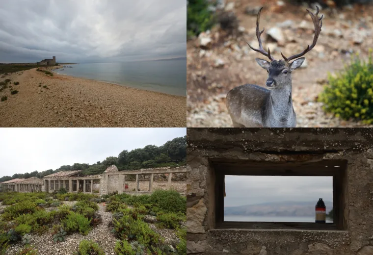 1988. godine logor je zatvoren i sad je na njemu prirodna kolonija jelena lopotara i omiljeno izleti&scaron;te za turiste