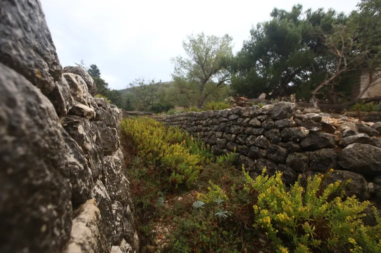 1988. godine logor je zatvoren i sad je na njemu prirodna kolonija jelena lopotara i omiljeno izleti&scaron;te za turiste
