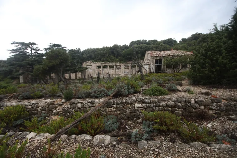 1988. godine logor je zatvoren i sad je na njemu prirodna kolonija jelena lopotara i omiljeno izleti&scaron;te za turiste