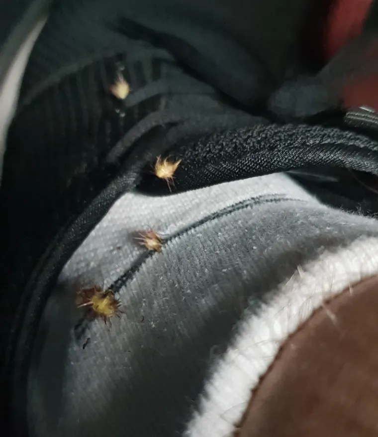 PREPOZNAJETE LI SE U OVIM SLIKAMA? Ekipa dijeli svoje muke s rubljem, a svima su nam itekako poznate