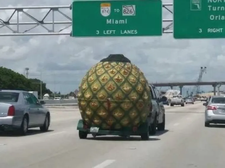 U slučaju da se ikada nađete u Americi, imajte na umu da tamo možete sva&scaron;ta vidjeti