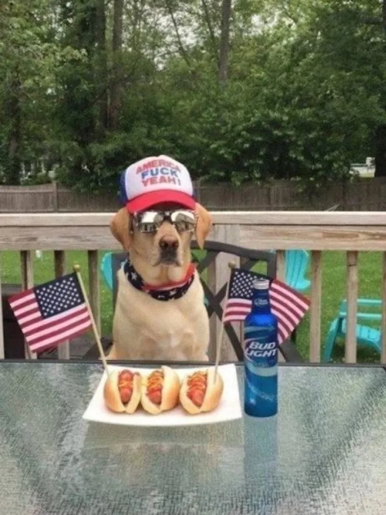 U slučaju da se ikada nađete u Americi, imajte na umu da tamo možete sva&scaron;ta vidjeti