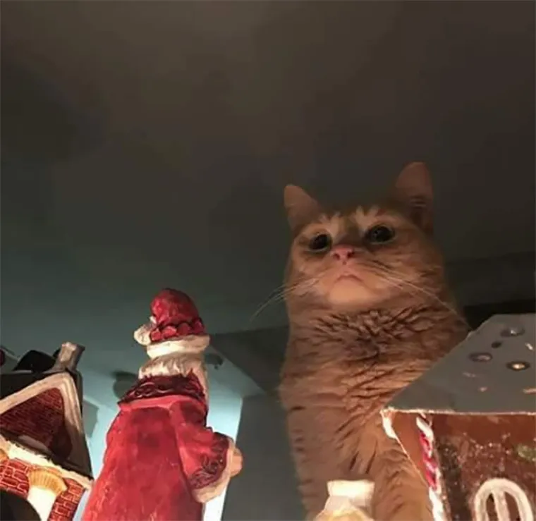 UHVAĆENI NA DJELU: Evo vam dokaza da ljubimci nisu nimalo slatki i planiraju preuzeti svijet