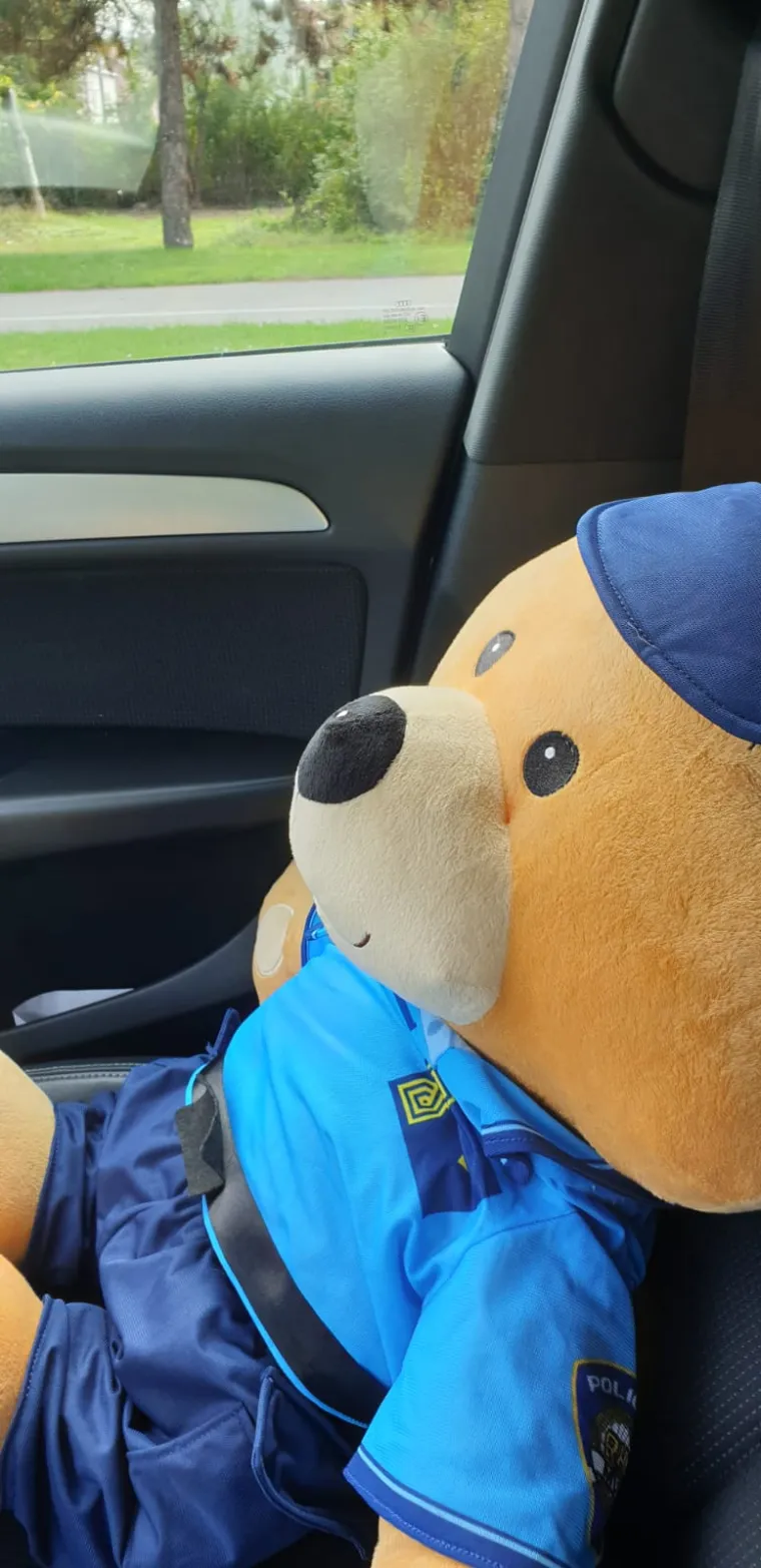 Nova zvijezda Direkta: Pogledajte kako je protekao radni dan mede Andrije