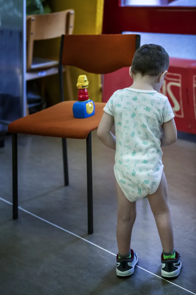 'Dajmo da osjete': Pridružite se akciji, pomozite mali&scaron;anima i uljep&scaron;ajte im život!