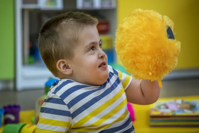 'Dajmo da osjete': Pridružite se akciji, pomozite mali&scaron;anima i uljep&scaron;ajte im život!