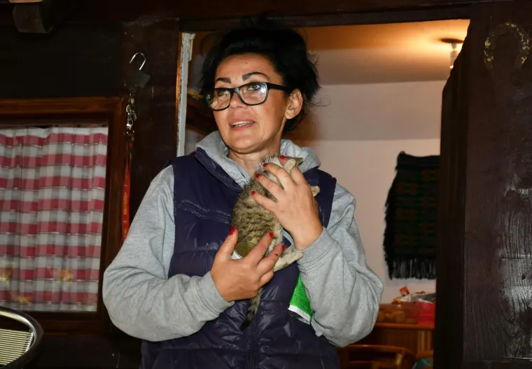 Pravi prijatelji se poznaju u nevolji: Lesi je spasio mačića Toma s deponija, a sad su nerazdvojni