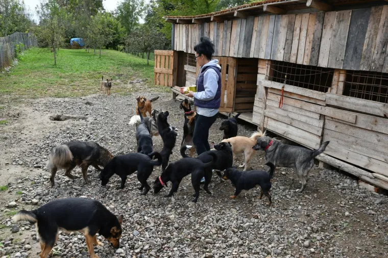 Pravi prijatelji se poznaju u nevolji: Lesi je spasio mačića Toma s deponija, a sad su nerazdvojni