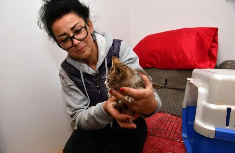 Pravi prijatelji se poznaju u nevolji: Lesi je spasio mačića Toma s deponija, a sad su nerazdvojni