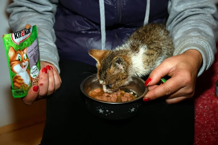 Pravi prijatelji se poznaju u nevolji: Lesi je spasio mačića Toma s deponija, a sad su nerazdvojni