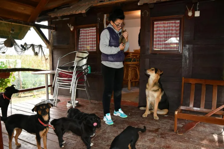 Pravi prijatelji se poznaju u nevolji: Lesi je spasio mačića Toma s deponija, a sad su nerazdvojni