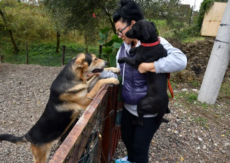 Pravi prijatelji se poznaju u nevolji: Lesi je spasio mačića Toma s deponija, a sad su nerazdvojni