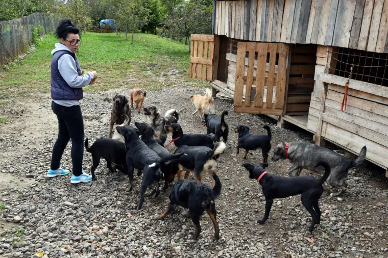 Pravi prijatelji se poznaju u nevolji: Lesi je spasio mačića Toma s deponija, a sad su nerazdvojni
