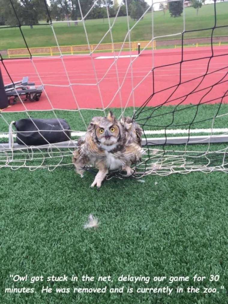 ŽIVI DOKAZ DA SE SR*NJA DOGAĐAJU KAD IH NAJMANJE OČEKUJETE: Ovi ljudi sigurno nisu mislili da bi im dan mogao ovako zavr&scaron;iti