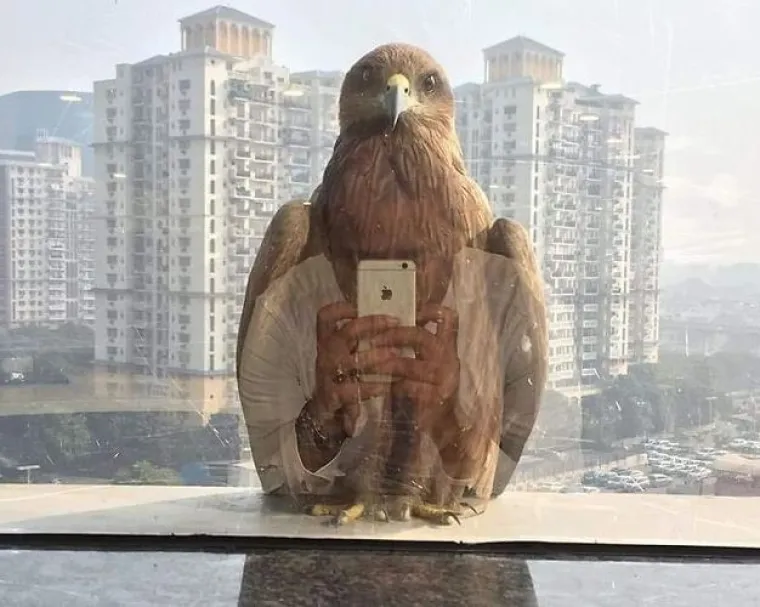 Savršenstvo u slikama: Vjerovali ili ne, ove fotografije nisu djelo Photoshopa