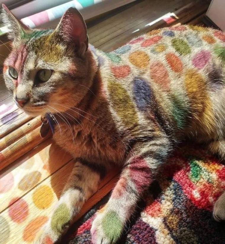 Savr&scaron;enstvo u slikama: Vjerovali ili ne, ove fotografije nisu djelo Photoshopa