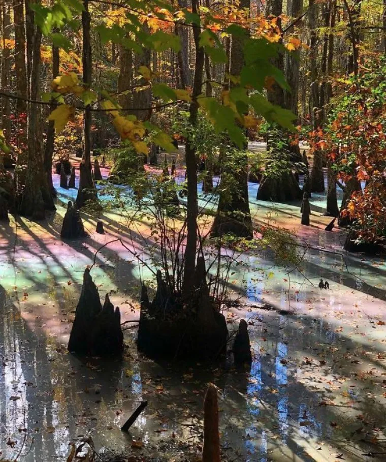 Savr&scaron;enstvo u slikama: Vjerovali ili ne, ove fotografije nisu djelo Photoshopa