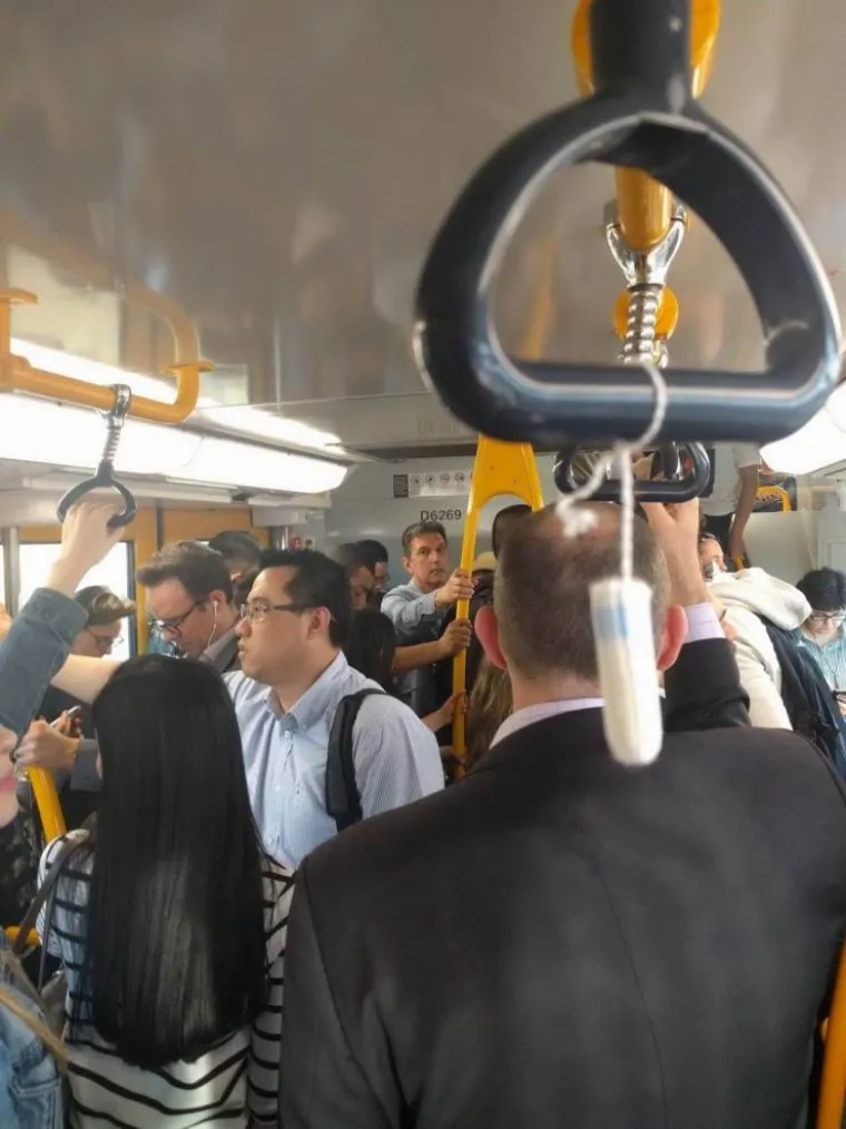 NEKE STVARI JE BOLJE NE PITATI:  Svaka slika ima priču, ali nismo sigurno da želimo znati koje njihove