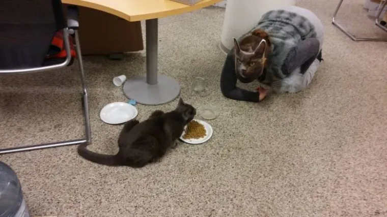 NEKE STVARI JE BOLJE NE PITATI:  Svaka slika ima priču, ali nismo sigurno da želimo znati koje njihove