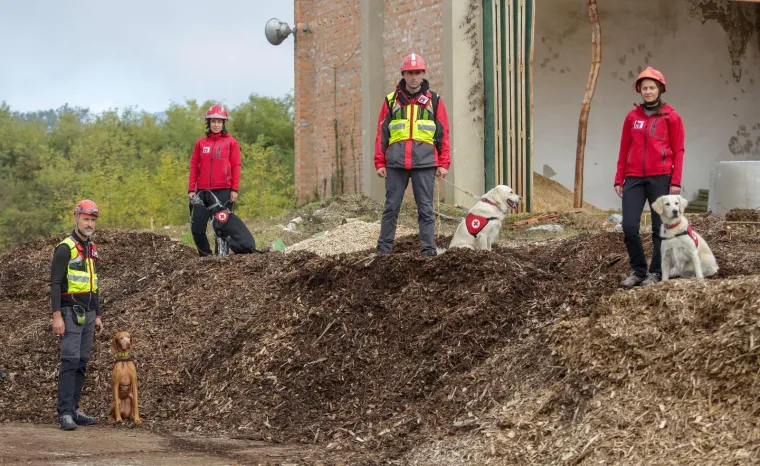 Psi tragači u potrazi za nestalima: U Jastrebarskom održana pokazna vježba