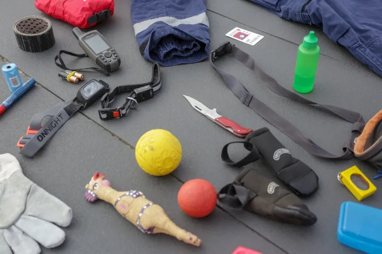 Psi tragači u potrazi za nestalima: U Jastrebarskom održana pokazna vježba